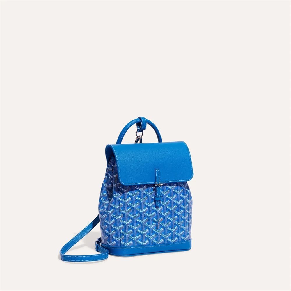 Goyard Alpin Mini Backpack