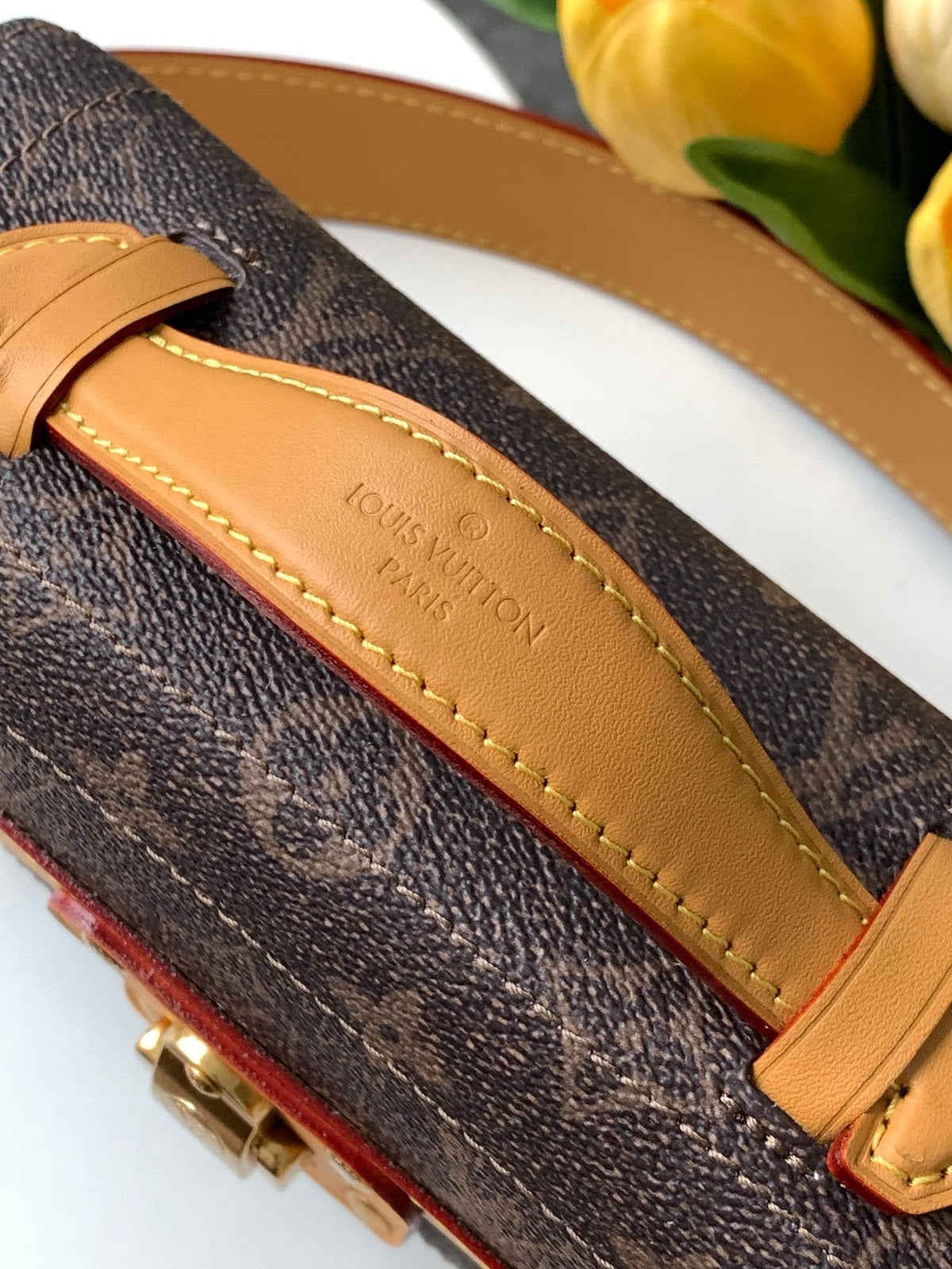 Louis Vuitton M11535 Soul Trunk